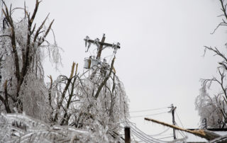 ice covered trees and electric pole